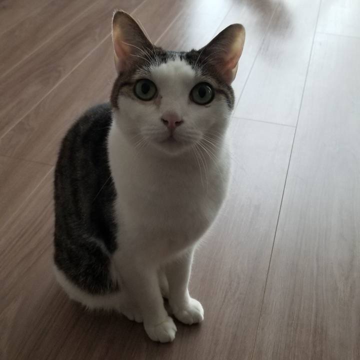 1a2248c3 40eb 4c5c 875c 9725e8767023 1557870581397