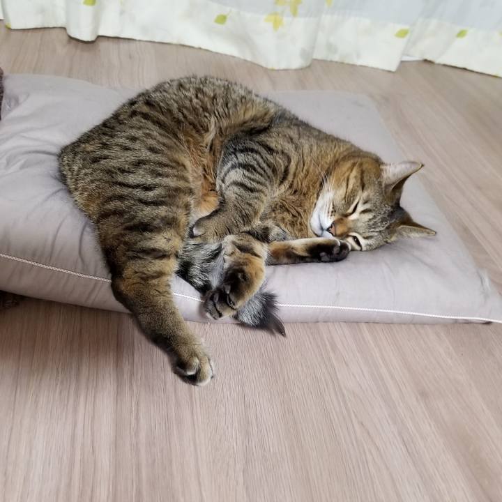 1a2277db b6df 409c a954 87718b1d5e35 1611265091966