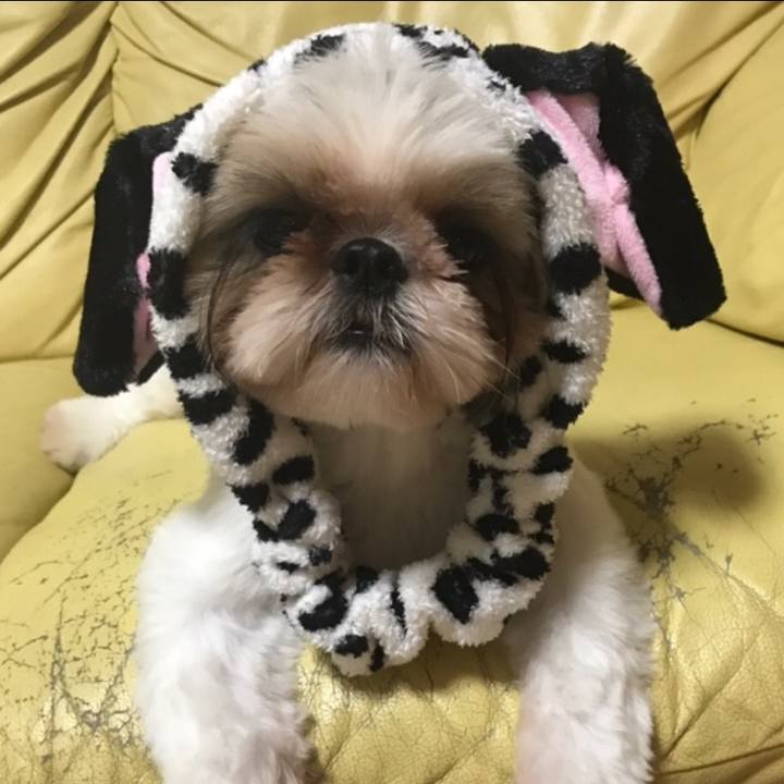 1a22df00 73eb 4ae9 a66d a06edd65fcc8 1596548684534