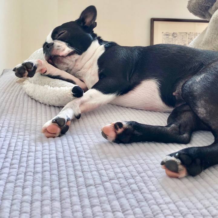 1a22f5be 68ee 4f51 852d 92bade11eec2 1530150942863