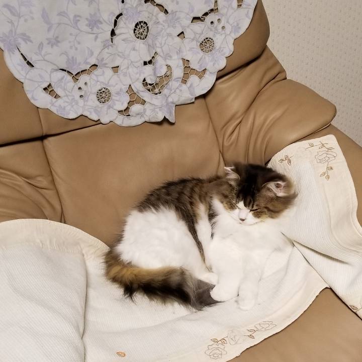 1a232244 76bc 4b81 a351 4cfbb7bd3551 1547627412739