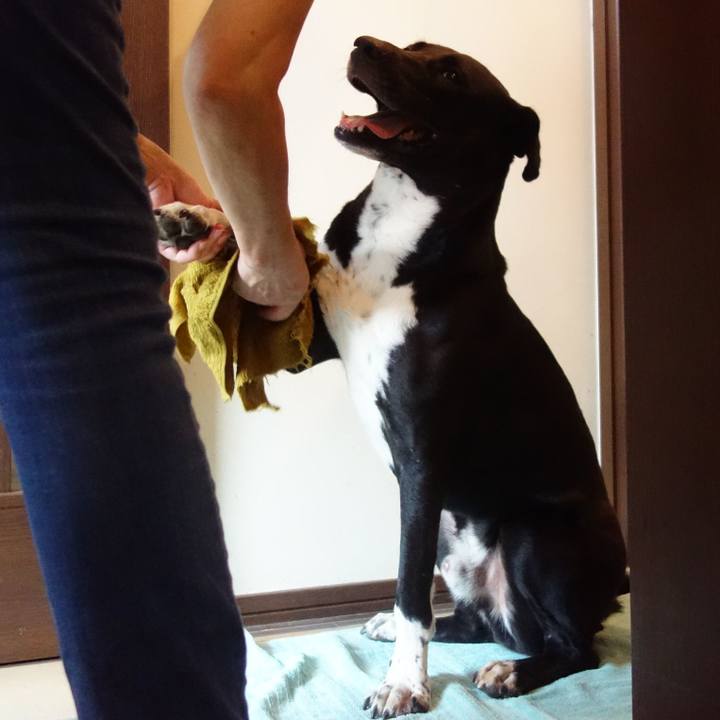 1a23605a dafd 4c2b 91e3 6faa44a0159a 1598312958205