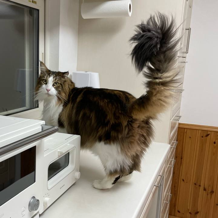 1a2381f8 002b 4a4f 9cd0 8bbd1e599878 1704741537742