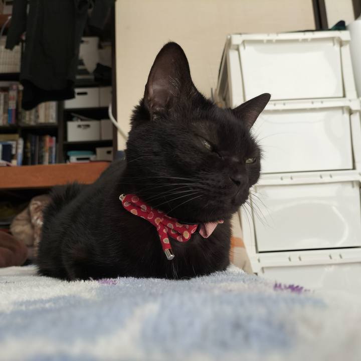 1a238ed1 9220 4ed8 bf87 d91363893c04 1635037933328