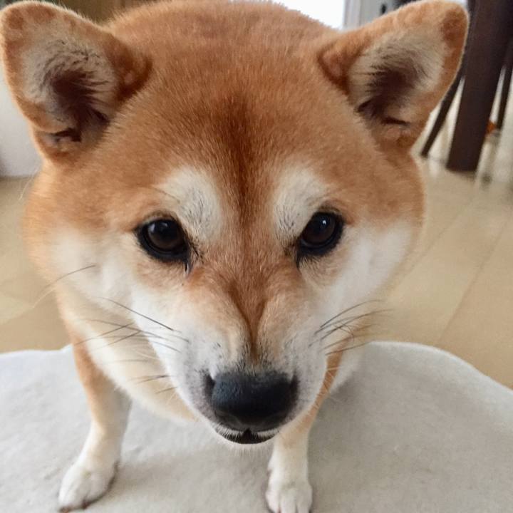 1a23aa3b cdb4 4008 b067 678ac9e9e40b 1534122460416