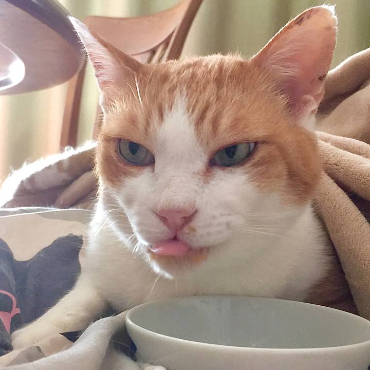 1a23d510 7e70 44fb b9bb 81969927ecb2 1581498692874