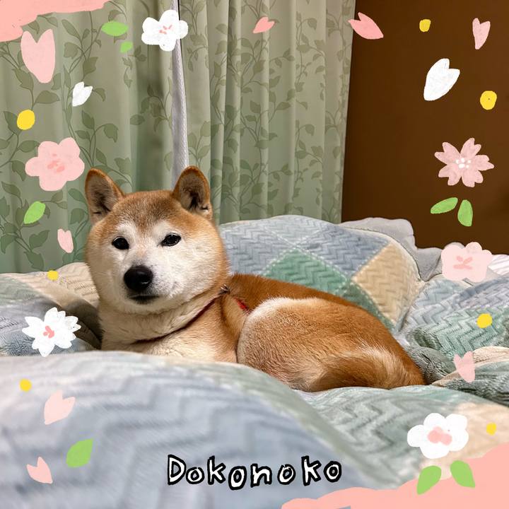 1a23e0fc f52c 42d5 b6a0 a7122f731c90 1711023713390