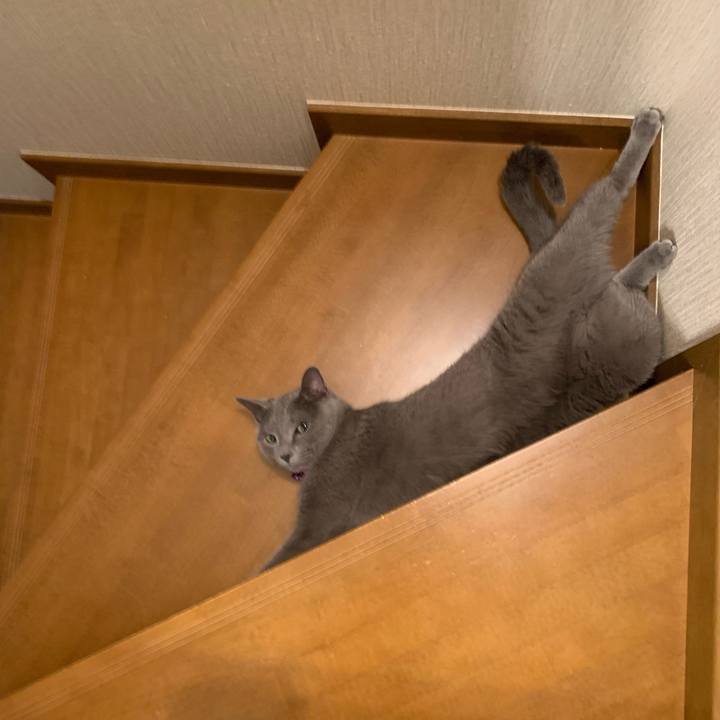 1a24160c 5f48 411e 8055 8700eda5ef61 1653779114378