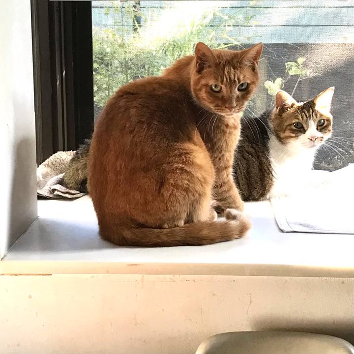 1a24286f fbc7 4949 aa70 0f3785f9d1fc 1633957464765