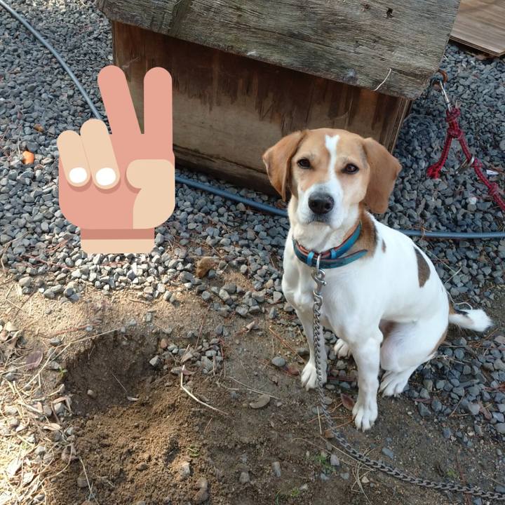 1a2453ad df03 4478 b6ab 3daeb0e25a2b 1611563319360