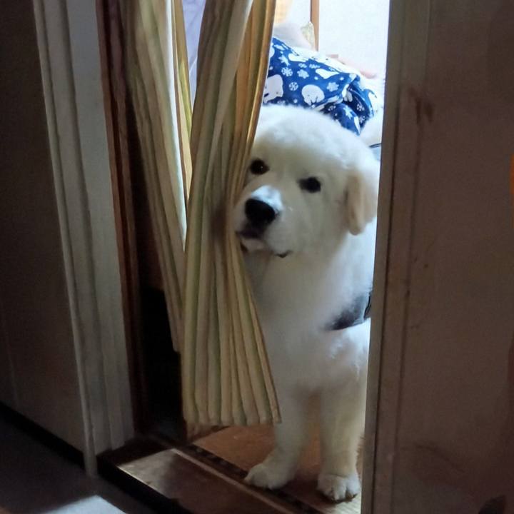 1a245770 2cd2 4faa 9c0e 108c8f221f61 1722066943725