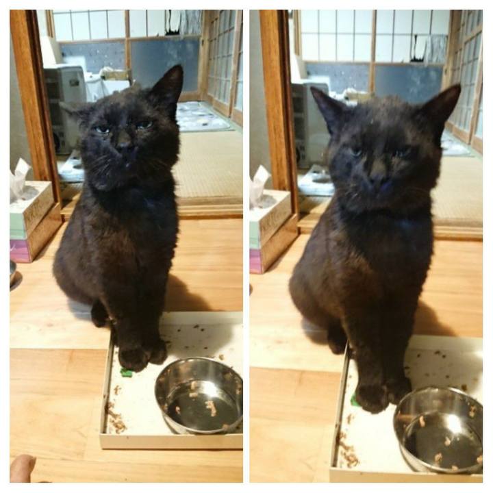 1a2485ef fadf 4743 86ad 00e6633801fc 1622986070412