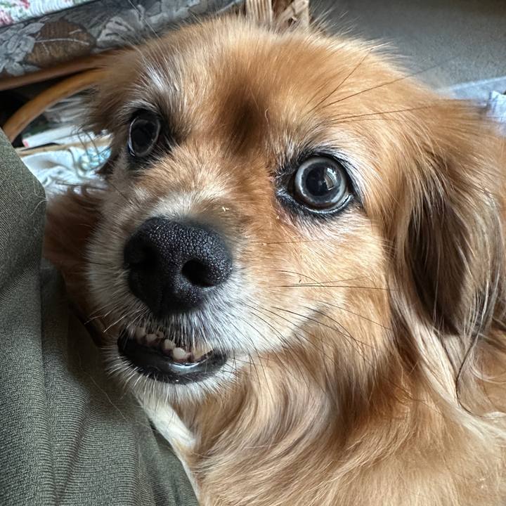 1a248cd9 0ad8 46d4 8faf 803c387c1320 1754429419280