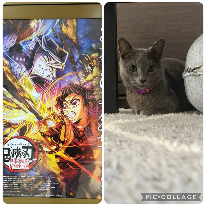 1a24c22c 5c71 40b5 ba84 ac650f79c403 1757772345334