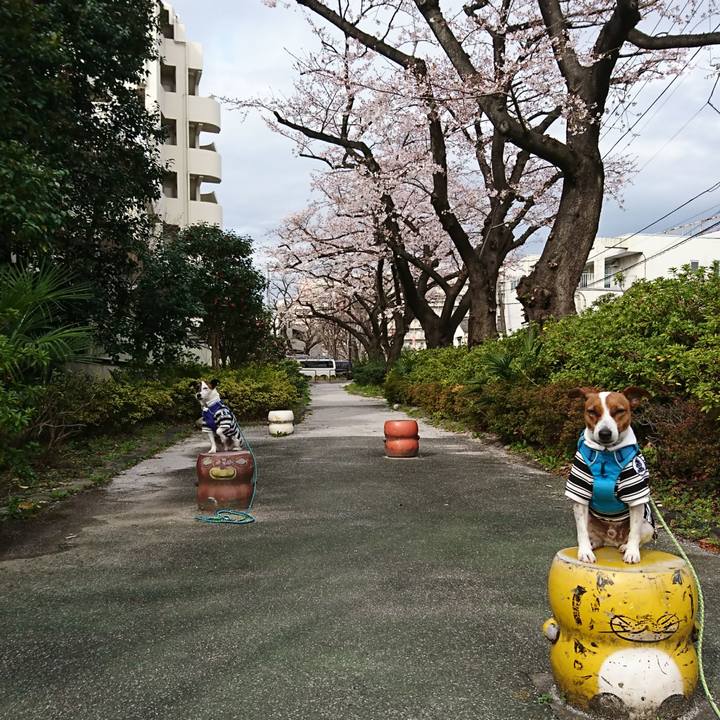 1a24c23b 3dd1 4dd1 894e 3970e5cfc230 1616370341064