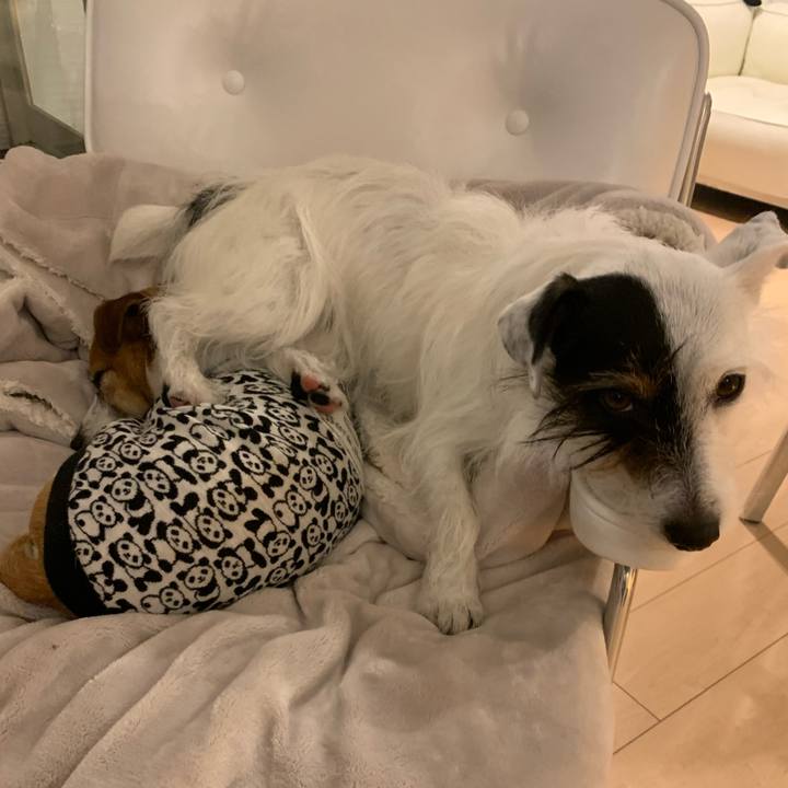 1a24d81f 2c95 4889 a307 f0eb5301c9bf 1582196026077