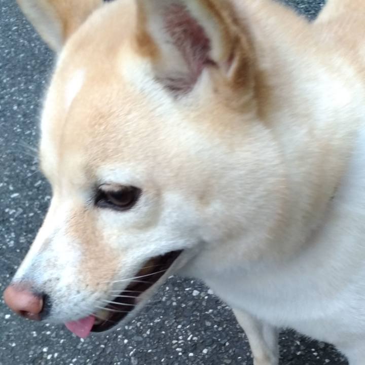 1a24e1ed 8bc6 4b35 99ed 611d577f7b7b 1601416742435