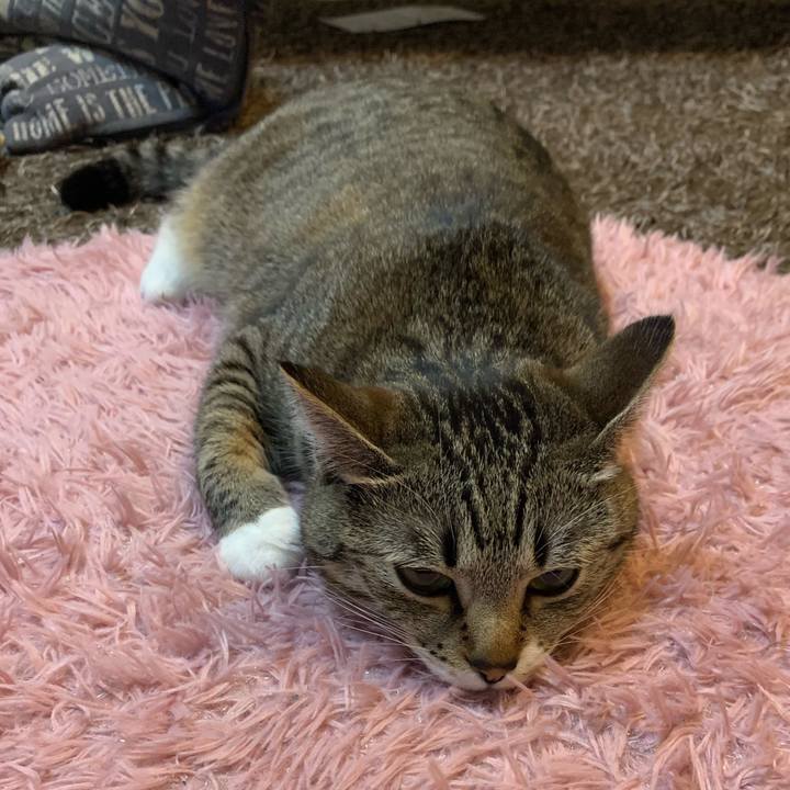 1a24efef 0658 4156 bbf8 6e2e47cb2091 1555981734192