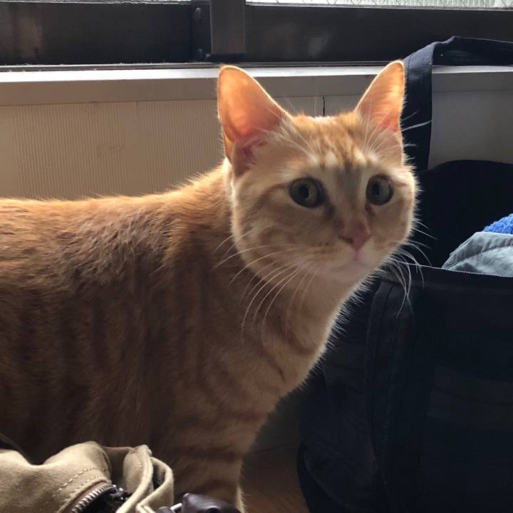 1a24f1c1 ac42 4af1 b3c3 56e56e3a166d 1514602438758