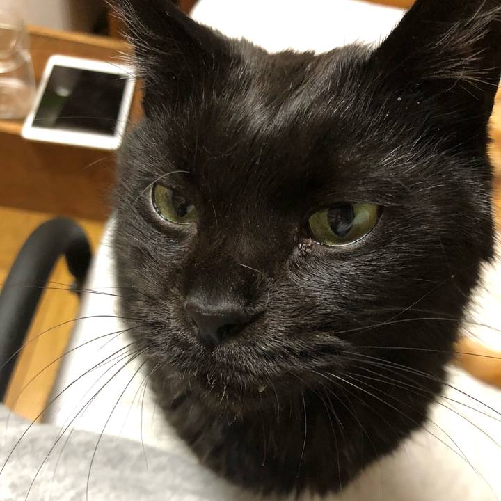 1a255a89 7aeb 4428 881a 353888d15b6e 1619088091777