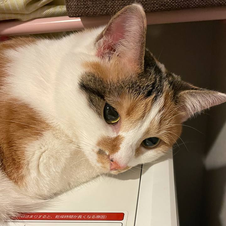 1a255e69 e564 43f1 b584 69fbee43cad7 1607009966113