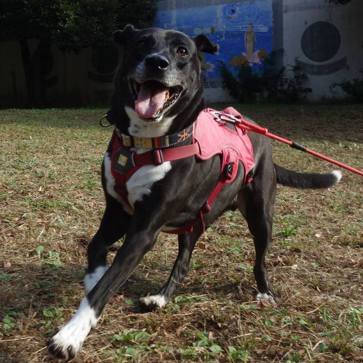 1a257204 1f5c 4b97 a283 cc71cdbae9ab 1698194806468