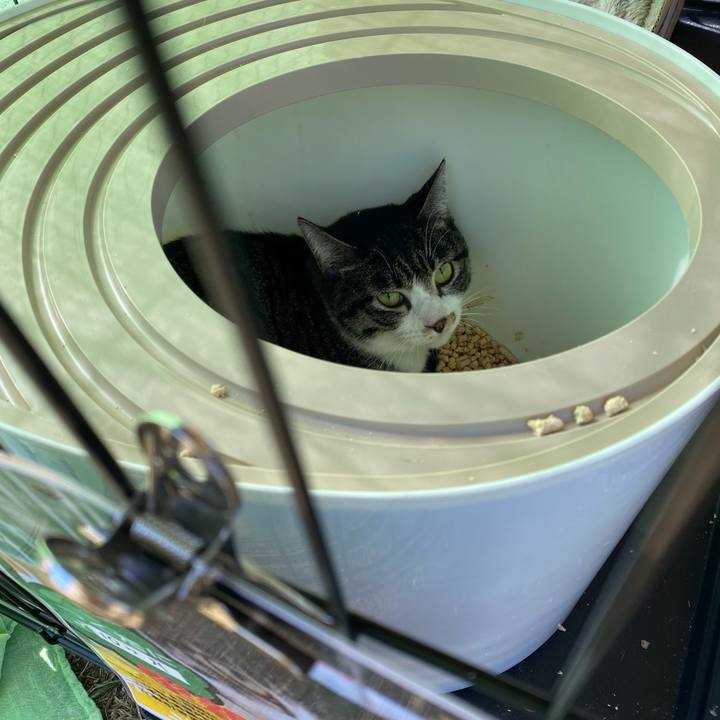 1a2575ed b035 4ec5 b971 e83f0bddbaf2 1708221928308