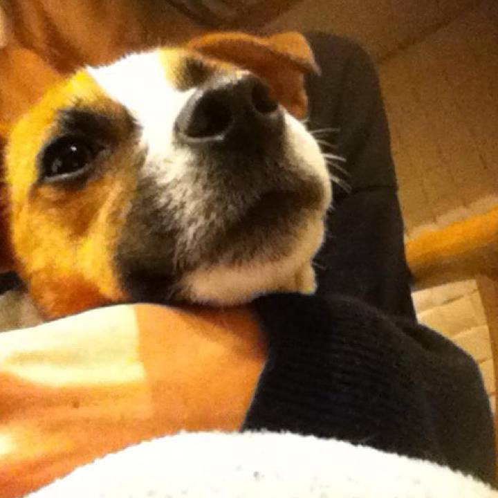 1a257c24 eea0 4642 97da f6fa137181ce 1702120909740