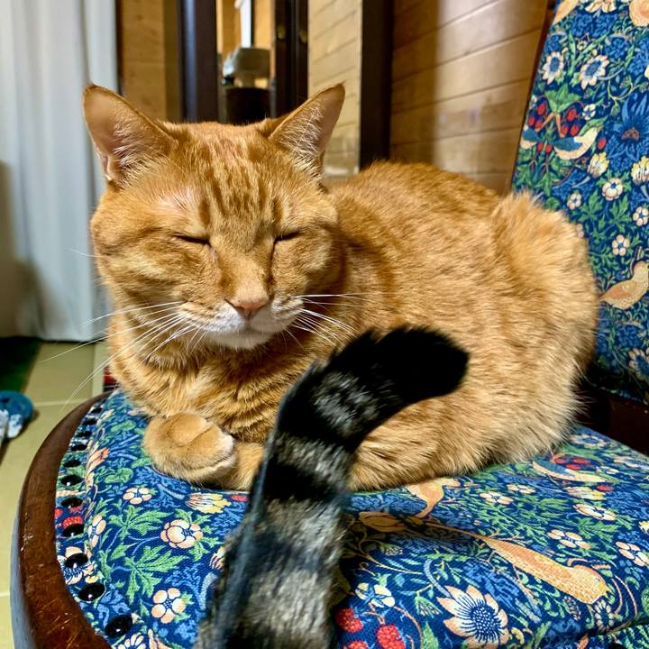 1a25a3a3 6739 4151 b063 63d9b4cc33d1 1618839373449