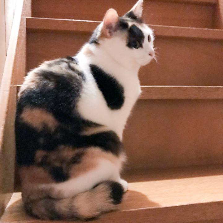 1a25be6d ce30 4b0b 9e0b b6372a13d74e 1521469610860