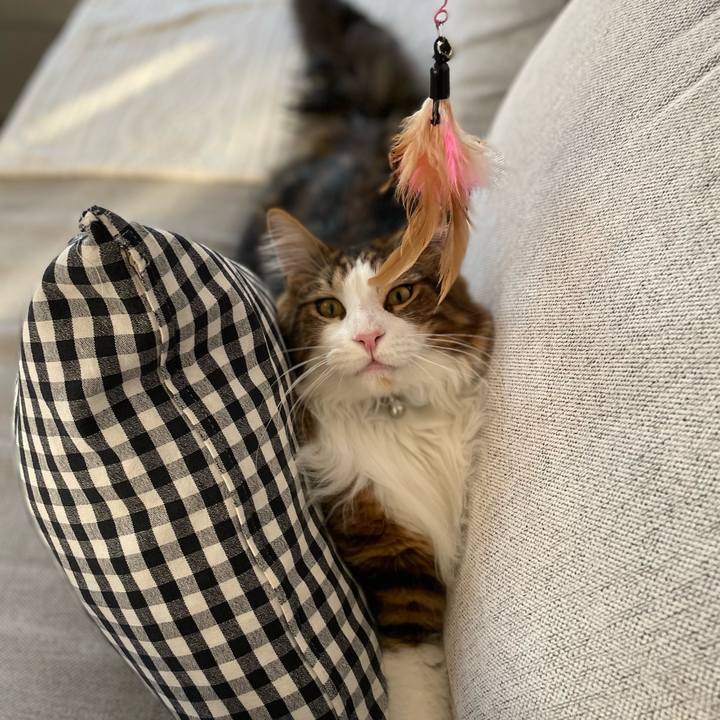 1a25e11d 0121 4a70 8eca 4445239d29df 1649282782982