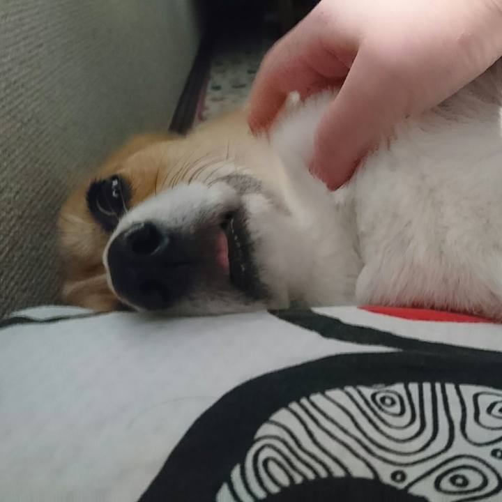 1a2659d3 f1f6 4c17 9984 df3f624b0f72 1546179491445