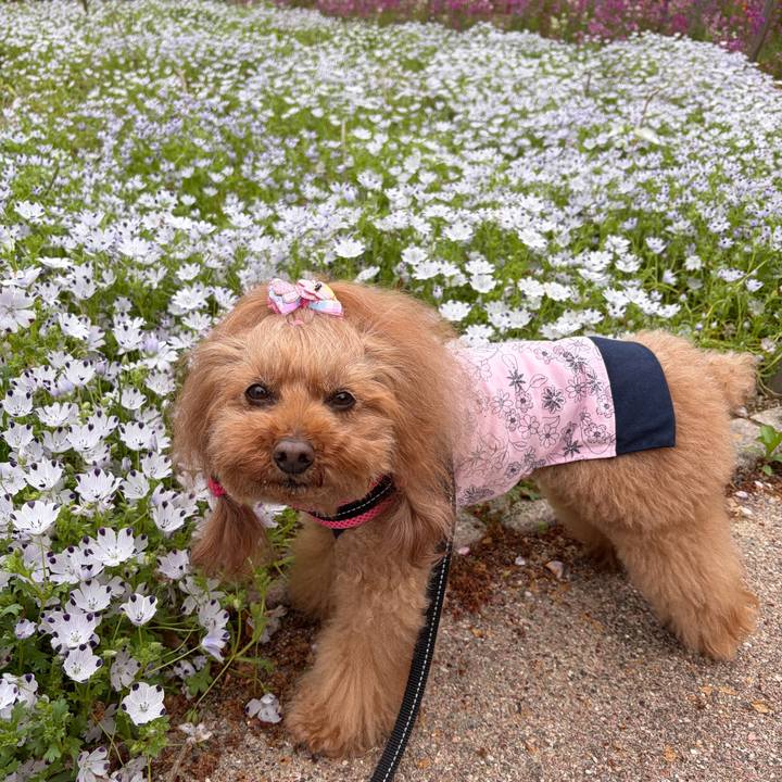 1a266082 fef8 47e0 91d9 f5ed963b887e 1776646635098