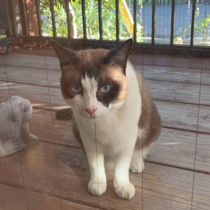 1a267817 bcdb 4802 87c5 c2bc5440b61b 1753965558809