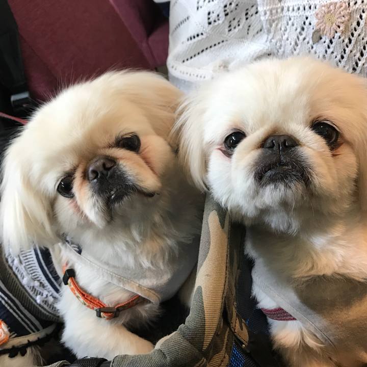 1a2699e5 6f23 425b 8b6c 4ecfe1573fd1 1527424614378