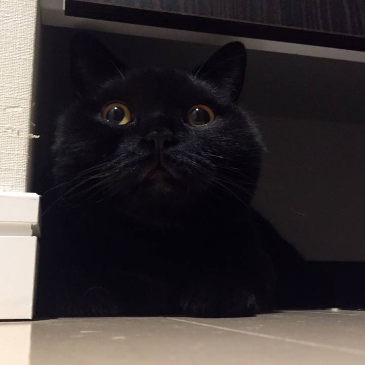 1a26cffd 114c 456e a950 b09aaff23aa3 1589281049301