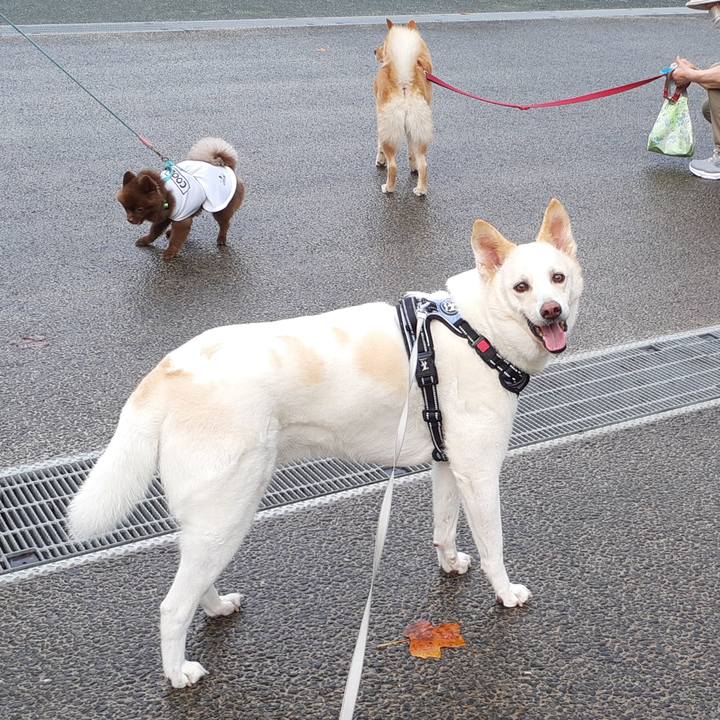 1a26e2e2 00bc 4071 af9f 360649d0a4e8 1658012265424