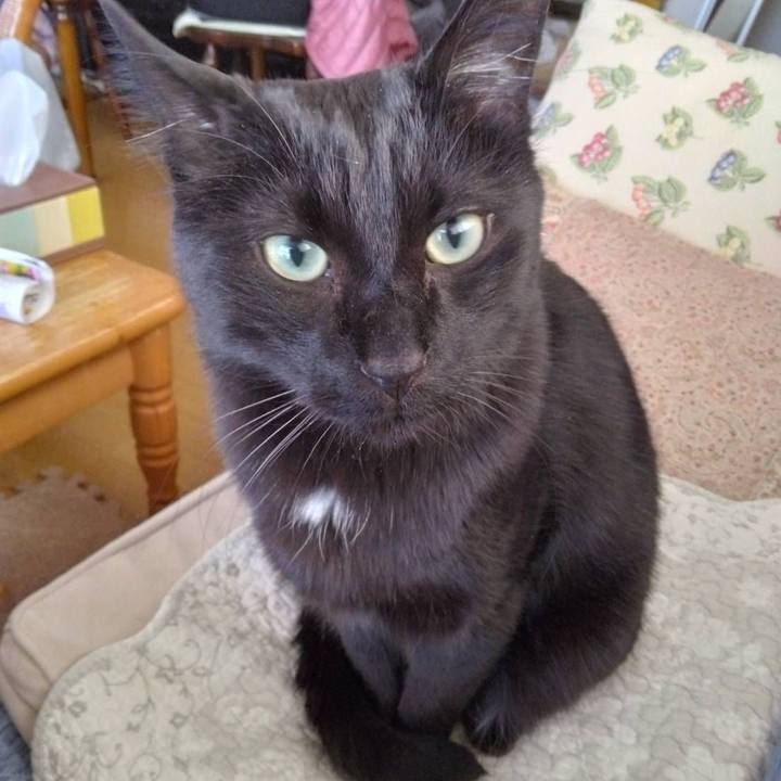 1a26ec64 469b 4e03 a420 a8976ac344d7 1680667343407