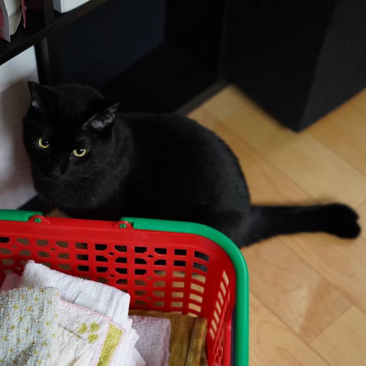 1a2731b9 fa9e 43eb 96fc b5b831fd4354 1574757215108