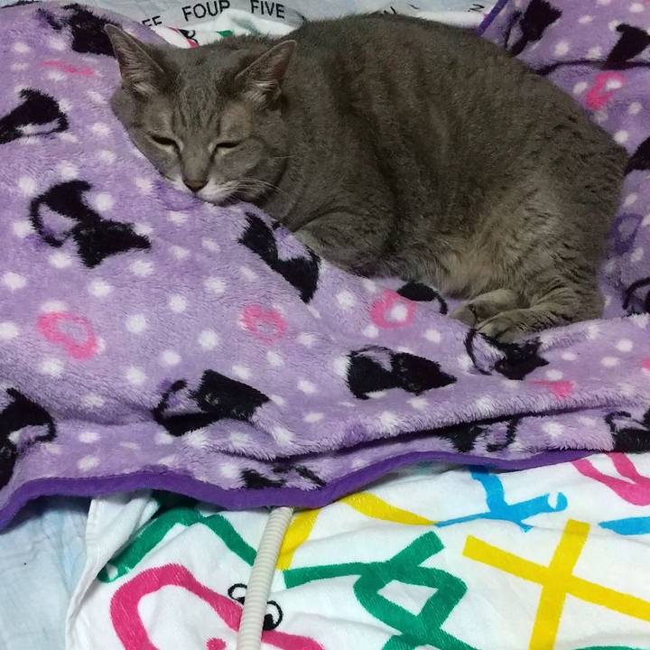 1a278e66 3c85 490c a014 389779acde1a 1603457878772