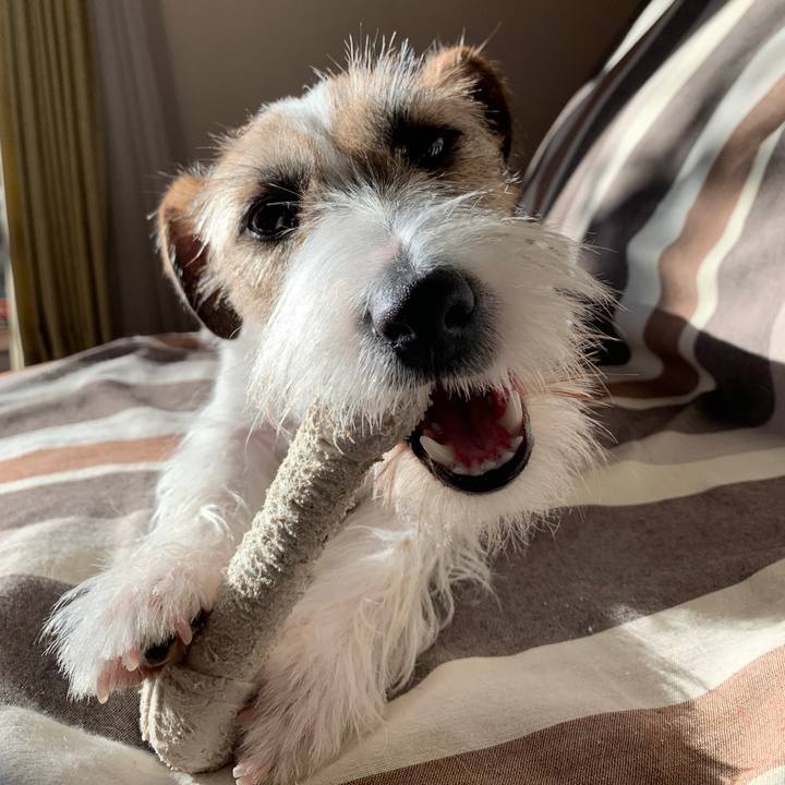 1a27d69d a504 4530 a3af 855e78a464e4 1577620219422