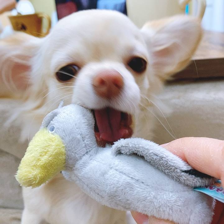 1a27ee41 2590 4ffd a17b e603e2562608 1609905337223