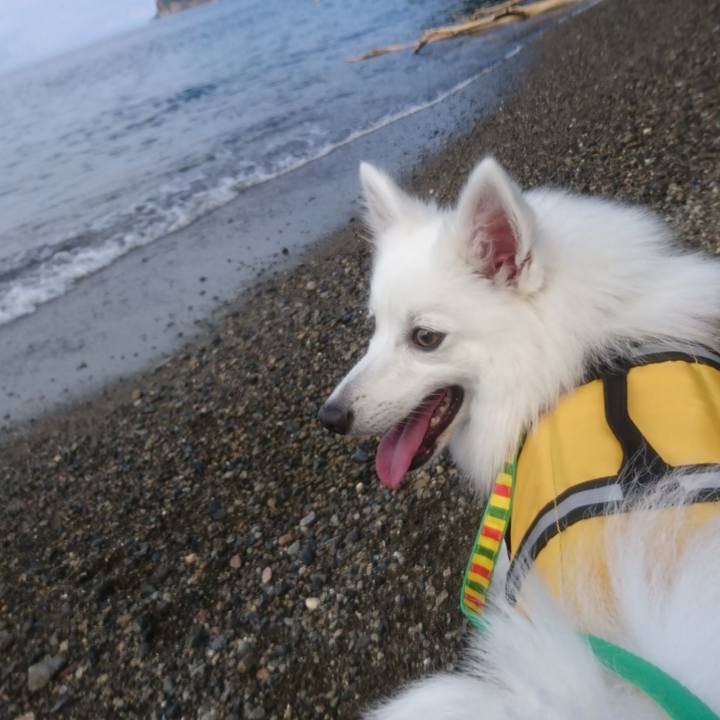 1a27f5cf 6bc1 4520 a928 1be87cb71772 1533974680623