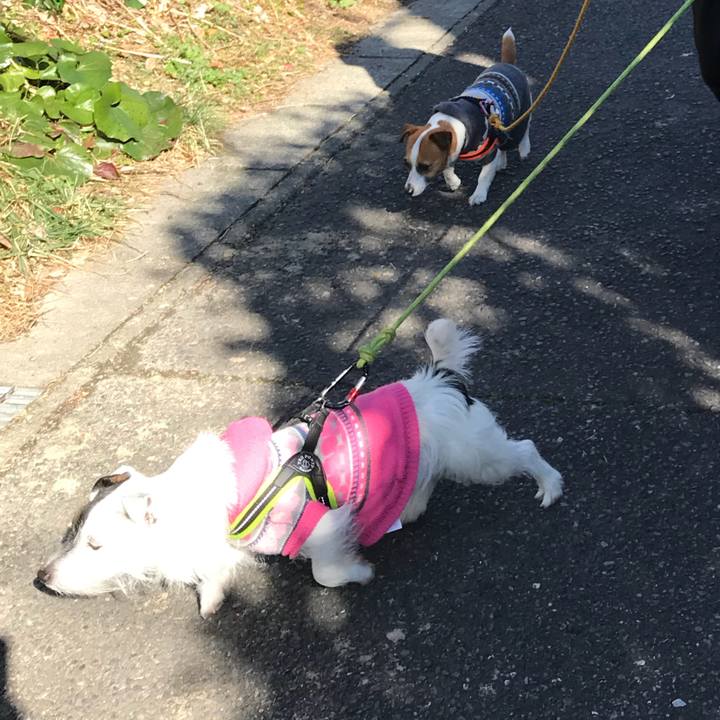 1a281939 d2da 4f4c 9bc8 d57c3d6ea456 1518437173922