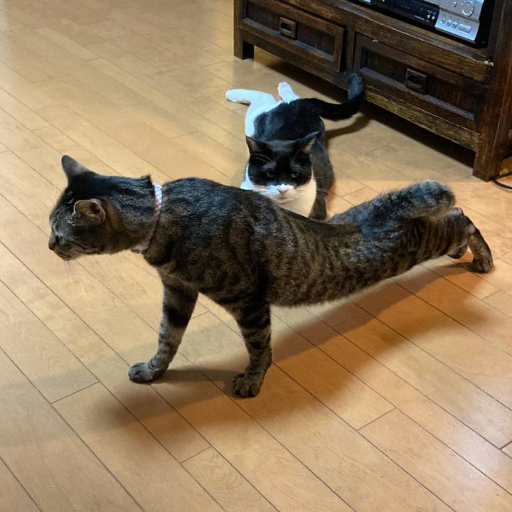 1a283208 479a 4c1b ad99 d83e1994a4bd 1611054399485