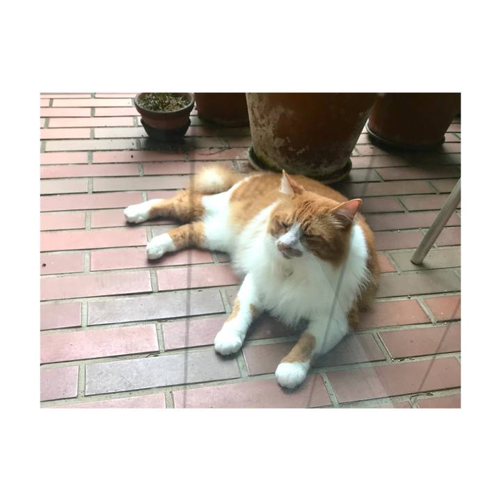 1a286c13 0608 4918 8707 1dd834726f38 1662509720840