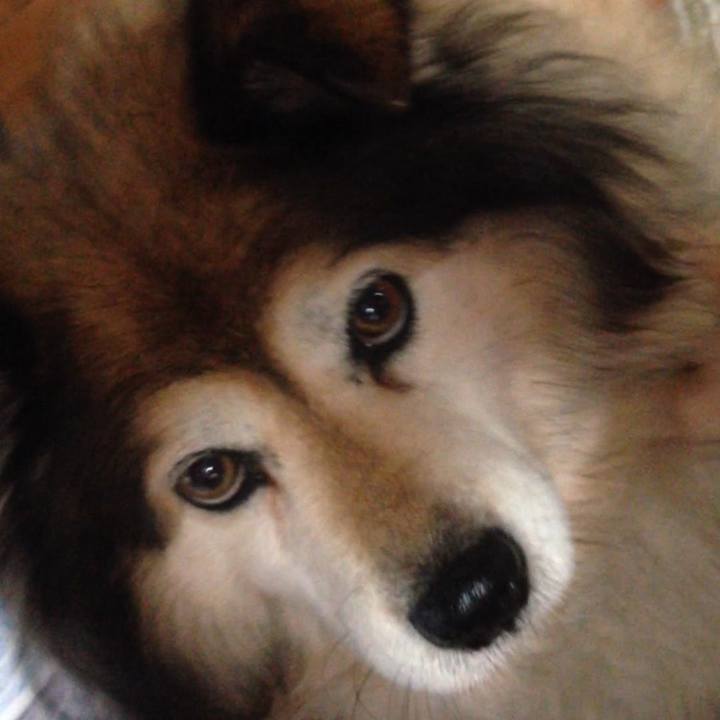 1a28856d 2b5d 4f5a 8aa1 93d0b8645e45 1589269306328