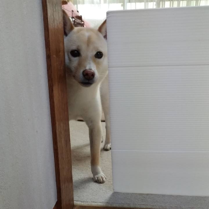 1a28a537 5161 4038 a8ff 6be2f20d6596 1527718300488