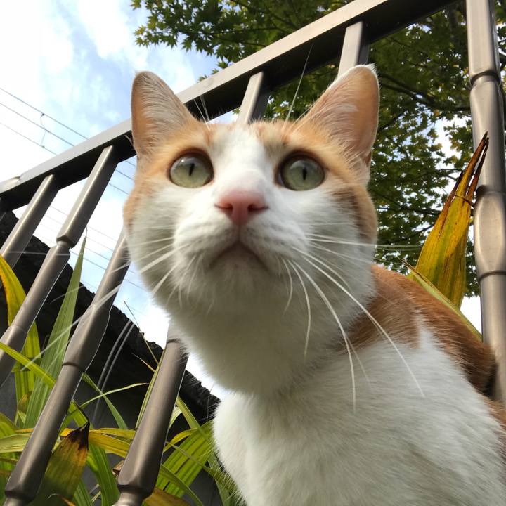 1a28dbcd 9bfa 4009 9d1a 4df15423a4e8 1509172958027