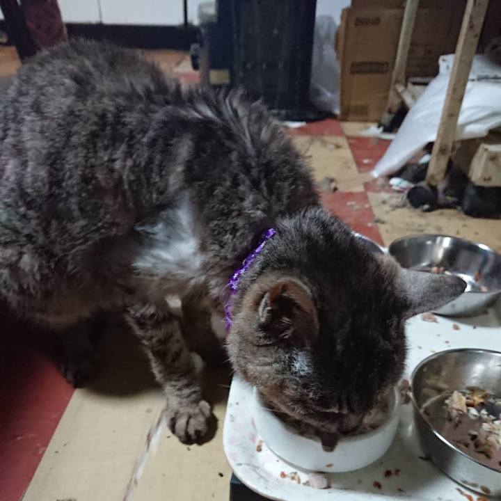 1a28dd81 ff81 4d67 af1d 51ee4c774e75 1594423511311